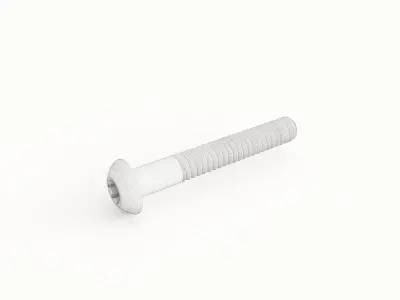 Screw 73 3D model
