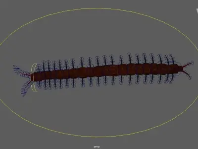 Centipede Low-poly 3D model get