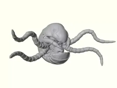Glacier Shell Crawler Free 3D print model