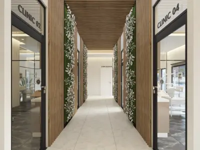  Dentist Clinic Office Interior 