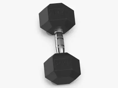 Rubber Dumbbell 20kg 3D model