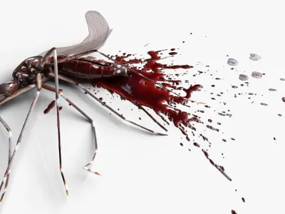  Smashed Mosquito Pest Blood For Blender 