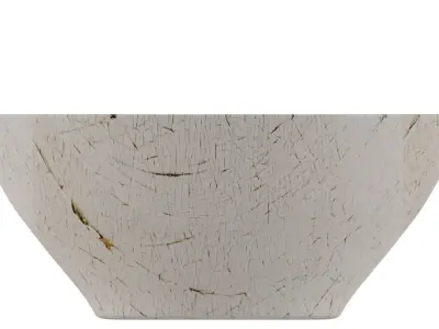 Bowl in White Pattren 3D model