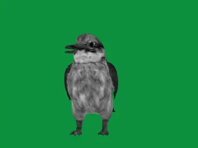 Guam Micronesian Kingfisher Wild Bird 3D model