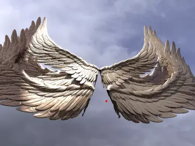 Phoenix  wings 3D model