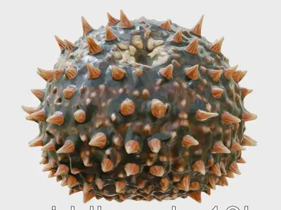 Pencil Urchin Model with Cylindrical Spines Low-poly 3D model