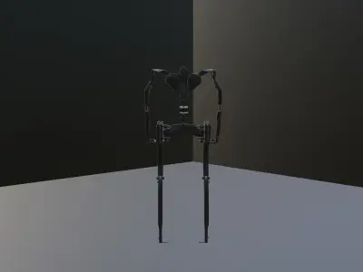 Exoskeleton skeleton Low-poly 3D model