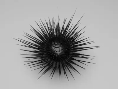 Sea Urchin 3D model