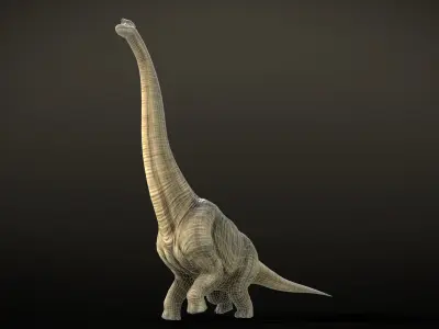 Brachiosaurus Dinosaur Rig and Animations Low-poly 3D model