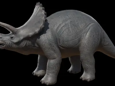 Triceratops Low-poly 3D model order