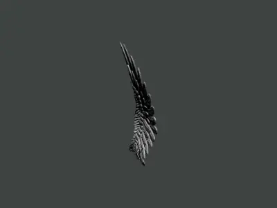 3D Model-WING0007 pair of silver wings 3D print model