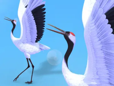 crane 3D model get