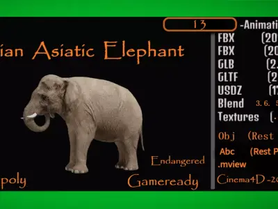 Asian Asiatic Elephant Free 3D model