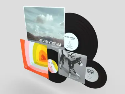 Vinyl Record Album Pack Low-poly 3D model