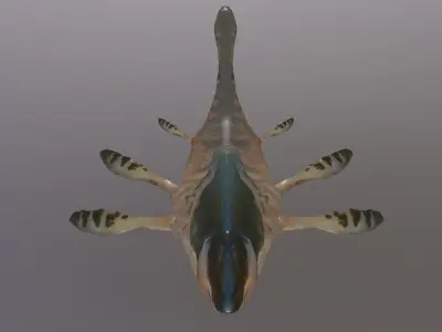 Ancient Shark Free 3D model