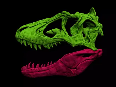 Lythronax Skull 3D print model
