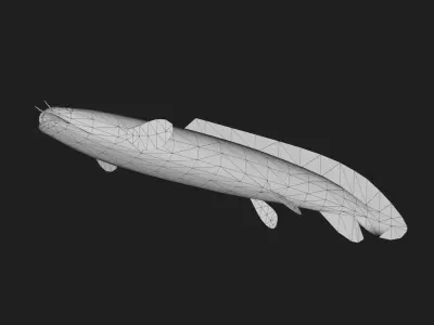 Bichir Low-poly 3D model 2