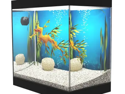 Leafy Sea Dragon 3D model