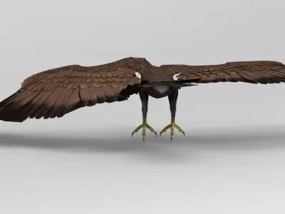 Eagle - Rigged - Animated Low-poly 3D model