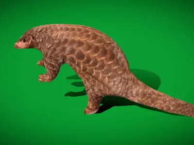 Pangolins Scaly Anteater Free low-poly 3D model