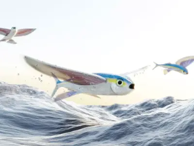Flying Fish - Clean Mesh Low Poly 3D model