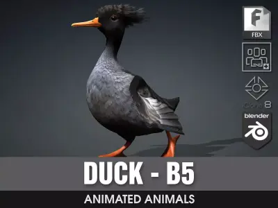 Duck-B5 3D model