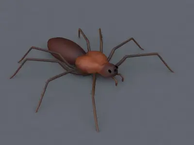 Spider 3d Model Low-poly 3D model purchase