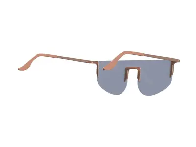 Sky Tint Sunglasses 3D model