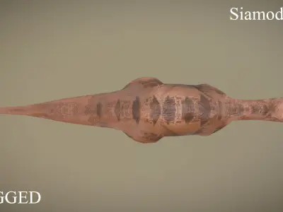 Thai Dinosaur Siamodon Low-poly 3D model