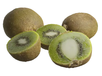 Kiwi Models 