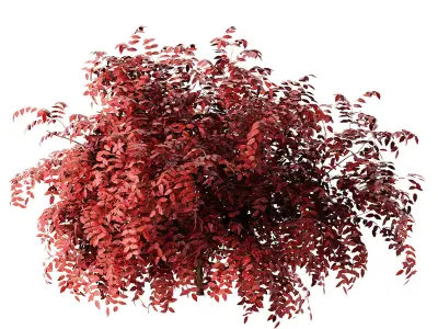 Summer and Burning Shrubbery Bush 3D Model 3D model