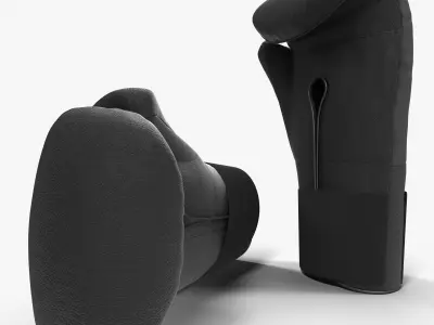 Boxing Bag And Gloves Generic Collection 2 3D Model Pack