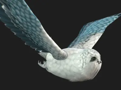 OwlBird A5 3D model