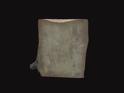 Medieval Tree Trunk V01 3D model