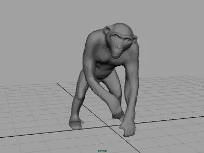 CHIMPANZEE 3D model