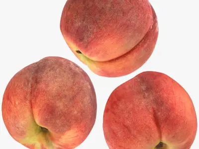 Peach Fruit Collection 3D model