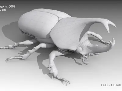 Rhinoceros Beetle Low-poly 3D model buy