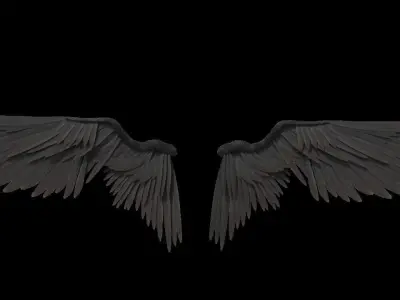angel wings 3D model purchase