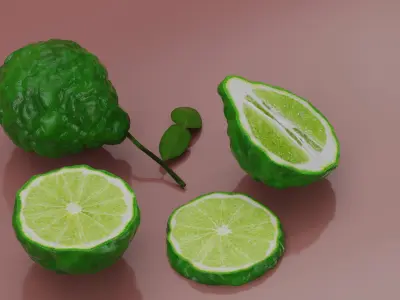 Bergamot Fruits 3D model