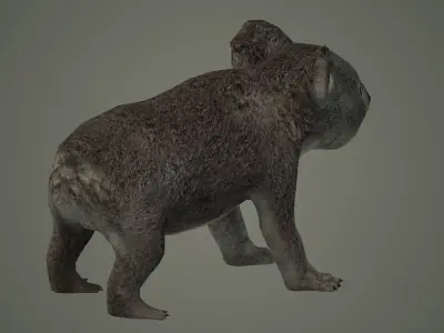 cute nature art animal mammal rat wildlife animals koala bear 3D model