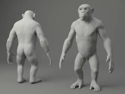 Chimp Base Mesh 3D model