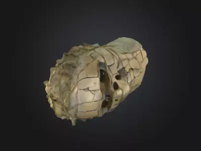 Echoes of Antiquity Head Low-poly 3D model