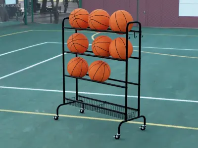  Vertical Basketball Storage Rack 