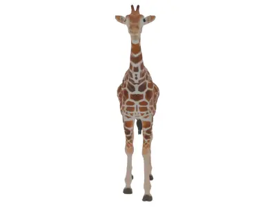 Giraffe Low-poly 3D model order