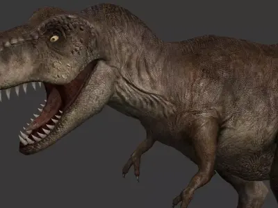 Tyrannosaurus Rex Low-poly 3D model 14