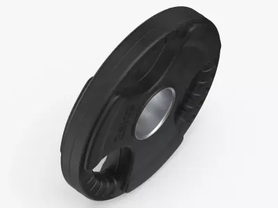 Weight Plate 2 5 KG 3D model