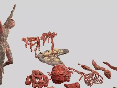 Horror Assets - Human Corpses Body Part Collection X3 Pack  Low-poly 3D model