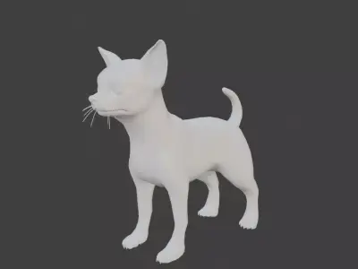 chihuahua dog base mesh 3D model