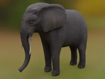 African Elephant Low-poly 3D model purchase