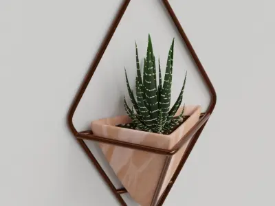 Haworthia in a wall pot Free 3D model